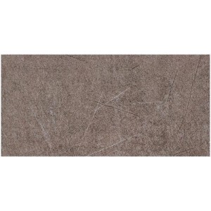 Gạch ốp tường Trường Thịnh COOLSTONE C36204